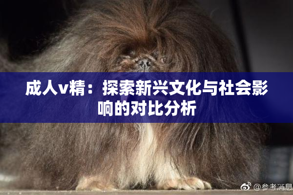 成人v精：探索新兴文化与社会影响的对比分析