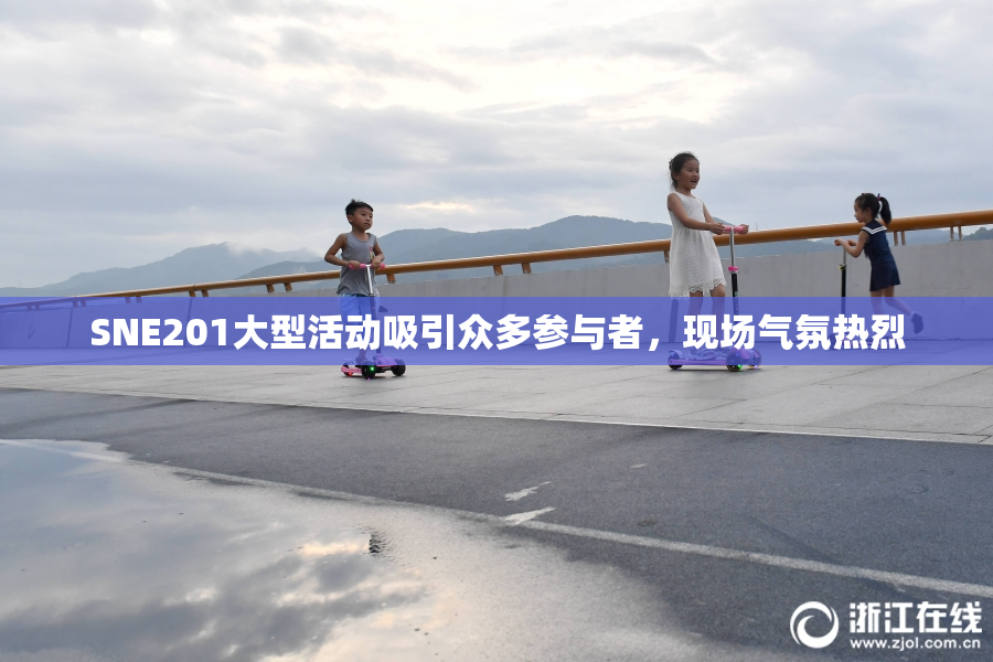 SNE201大型活动吸引众多参与者，现场气氛热烈
