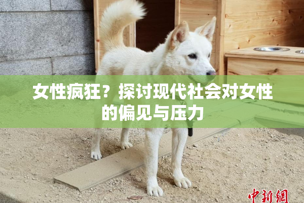 女性疯狂？探讨现代社会对女性的偏见与压力