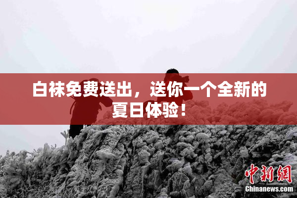白袜免费送出，送你一个全新的夏日体验！