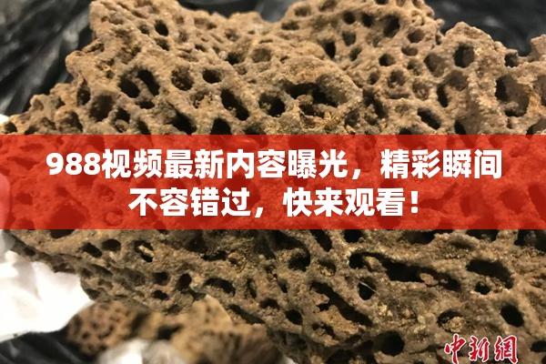 988视频最新内容曝光，精彩瞬间不容错过，快来观看！