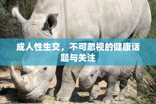 成人性生交，不可忽视的健康话题与关注