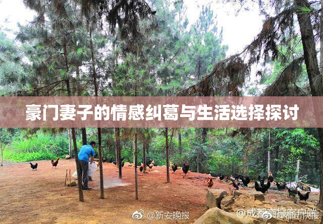 豪门妻子的情感纠葛与生活选择探讨