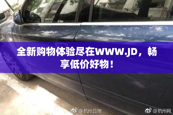 全新购物体验尽在WWW.JD，畅享低价好物！