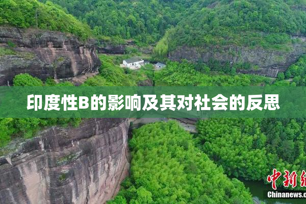 印度性B的影响及其对社会的反思