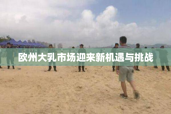 欧州大乳市场迎来新机遇与挑战