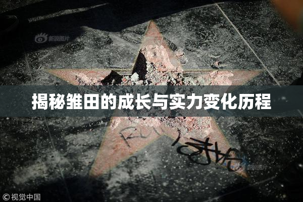 揭秘雏田的成长与实力变化历程