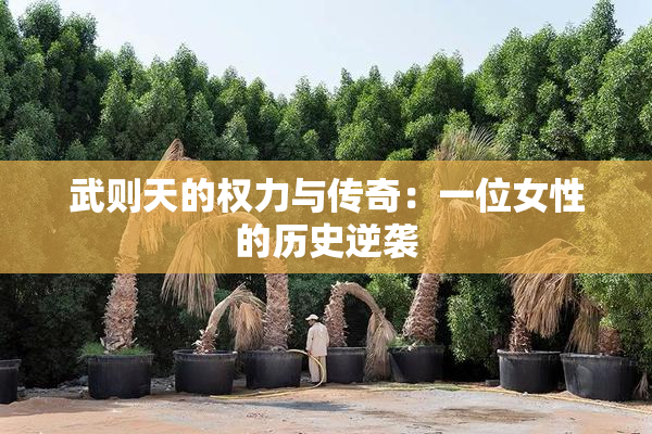 武则天的权力与传奇：一位女性的历史逆袭