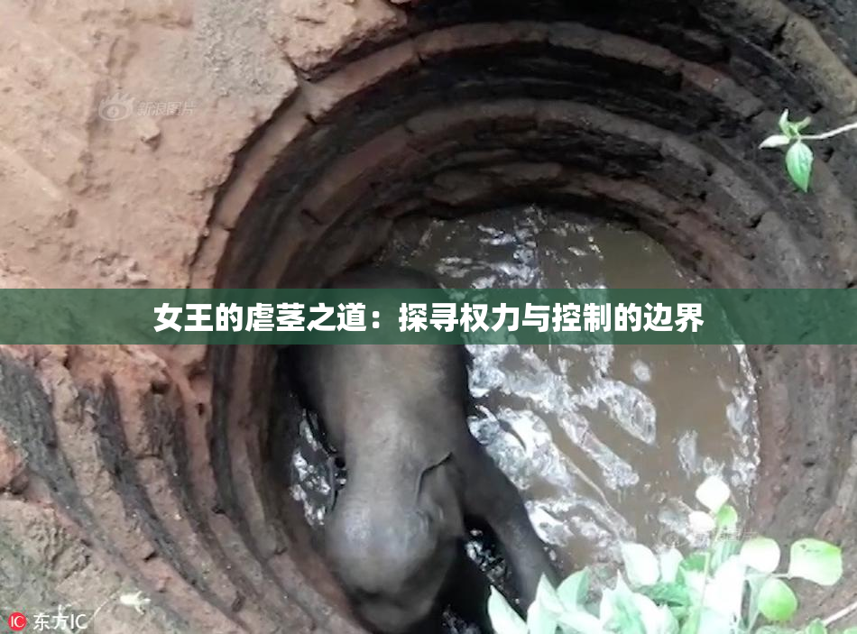 女王的虐茎之道：探寻权力与控制的边界