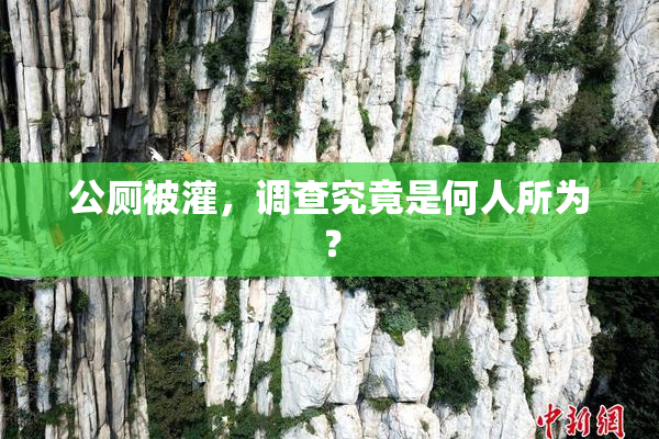 公厕被灌，调查究竟是何人所为？