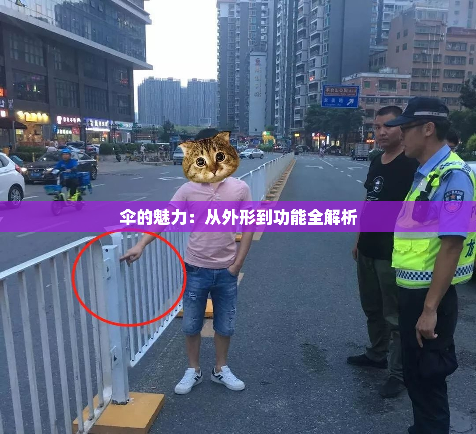 伞的魅力：从外形到功能全解析