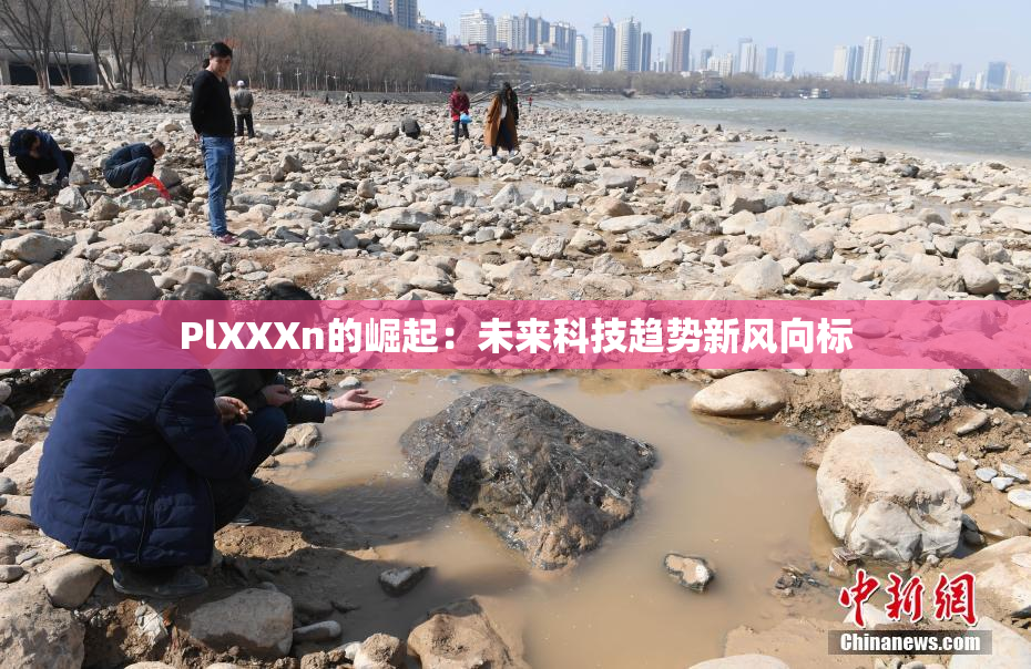 PlXXXn的崛起：未来科技趋势新风向标