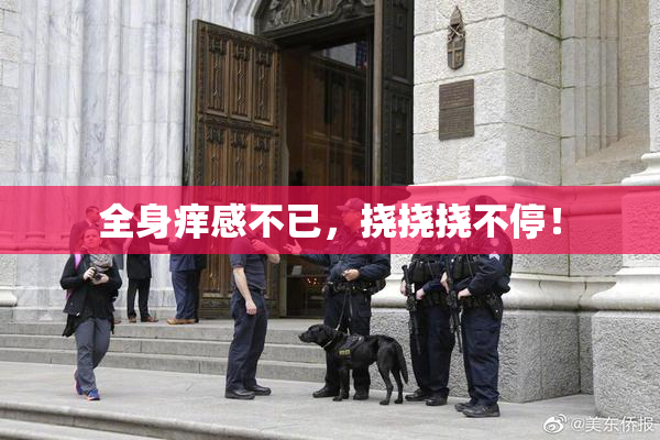 全身痒感不已，挠挠挠不停！