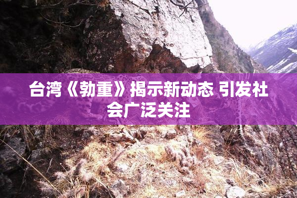 台湾《勃重》揭示新动态 引发社会广泛关注