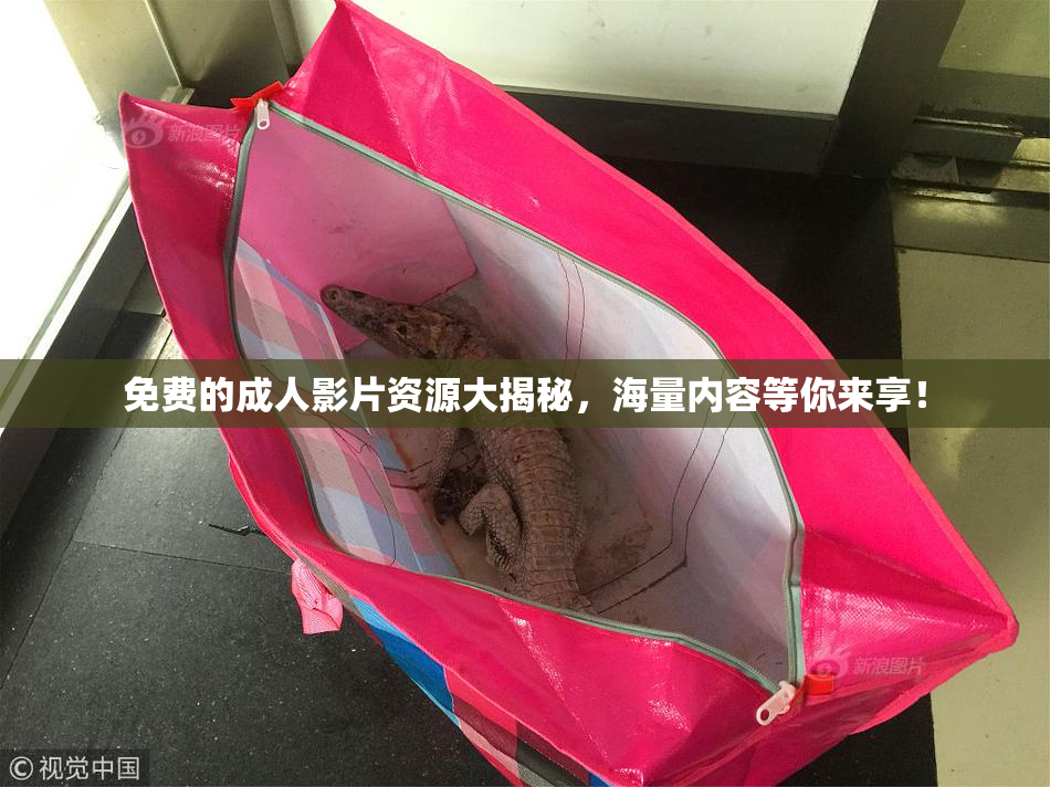 免费的成人影片资源大揭秘，海量内容等你来享！