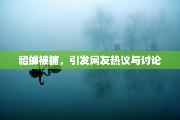 貂蝉被捕，引发网友热议与讨论