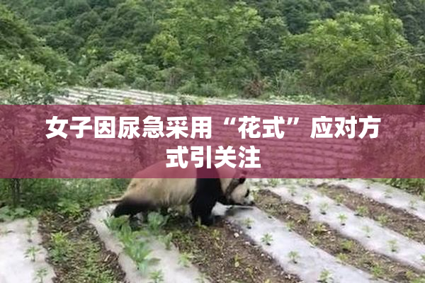 女子因尿急采用“花式”应对方式引关注