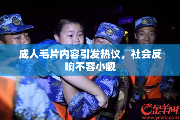 成人毛片内容引发热议，社会反响不容小觑