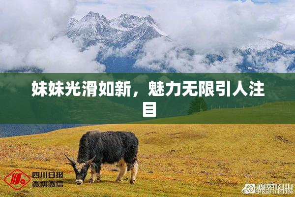 妹妹光滑如新，魅力无限引人注目
