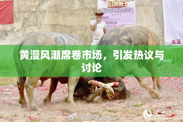 黄漫风潮席卷市场，引发热议与讨论