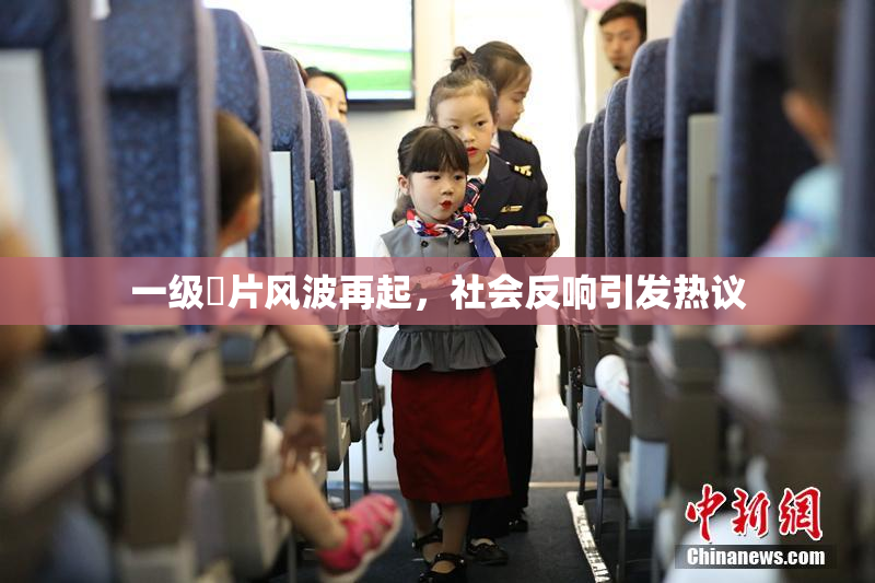 一级婬片风波再起，社会反响引发热议
