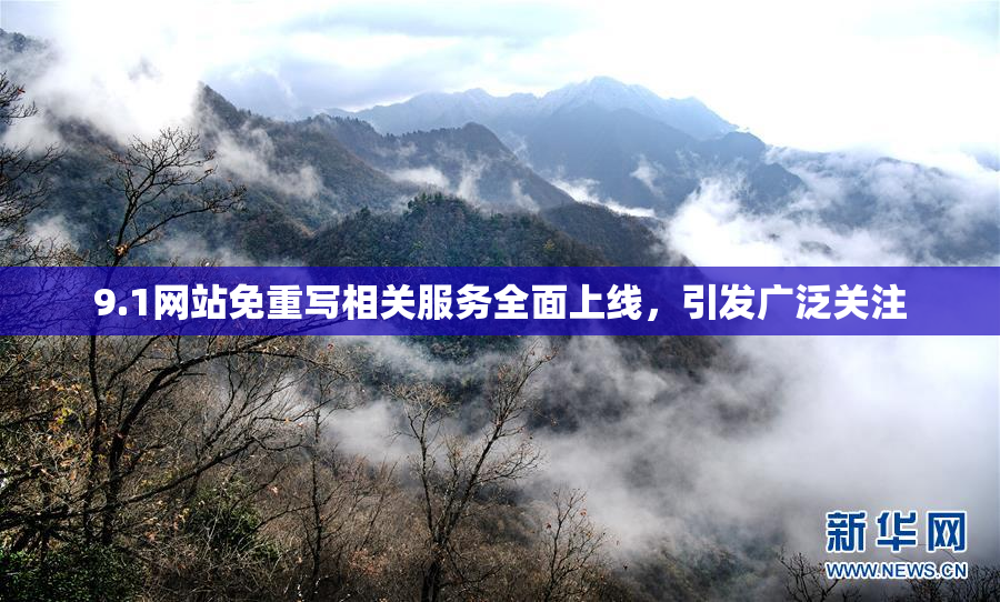 9.1网站免重写相关服务全面上线，引发广泛关注
