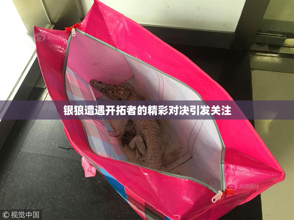 银狼遭遇开拓者的精彩对决引发关注