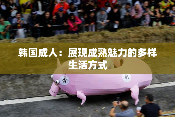 韩国成人：展现成熟魅力的多样生活方式