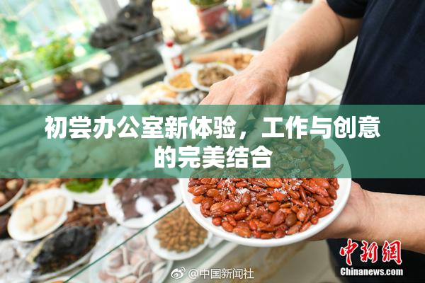 初尝办公室新体验，工作与创意的完美结合