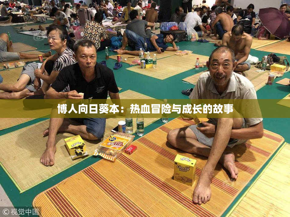 博人向日葵本：热血冒险与成长的故事