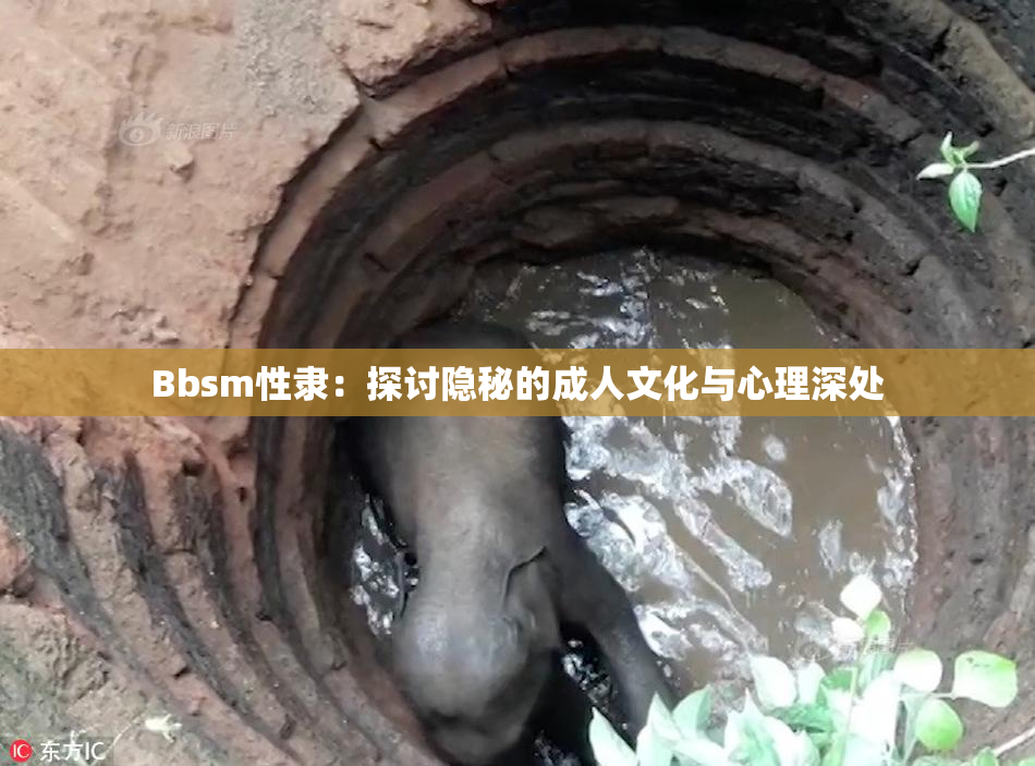 Bbsm性隶：探讨隐秘的成人文化与心理深处