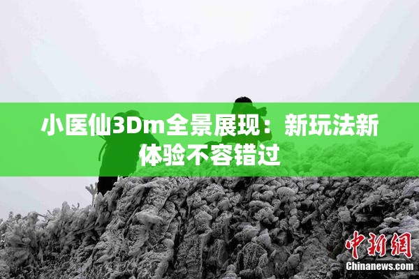 小医仙3Dm全景展现：新玩法新体验不容错过