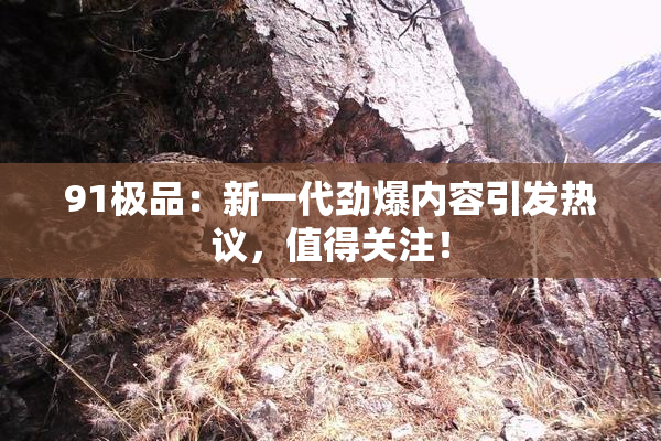 91极品：新一代劲爆内容引发热议，值得关注！