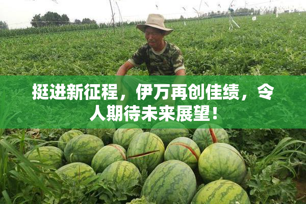 挺进新征程，伊万再创佳绩，令人期待未来展望！