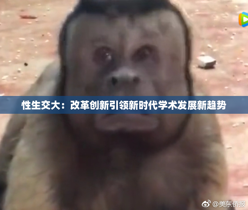 性生交大：改革创新引领新时代学术发展新趋势