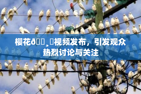 樱花🌸‌视频发布，引发观众热烈讨论与关注