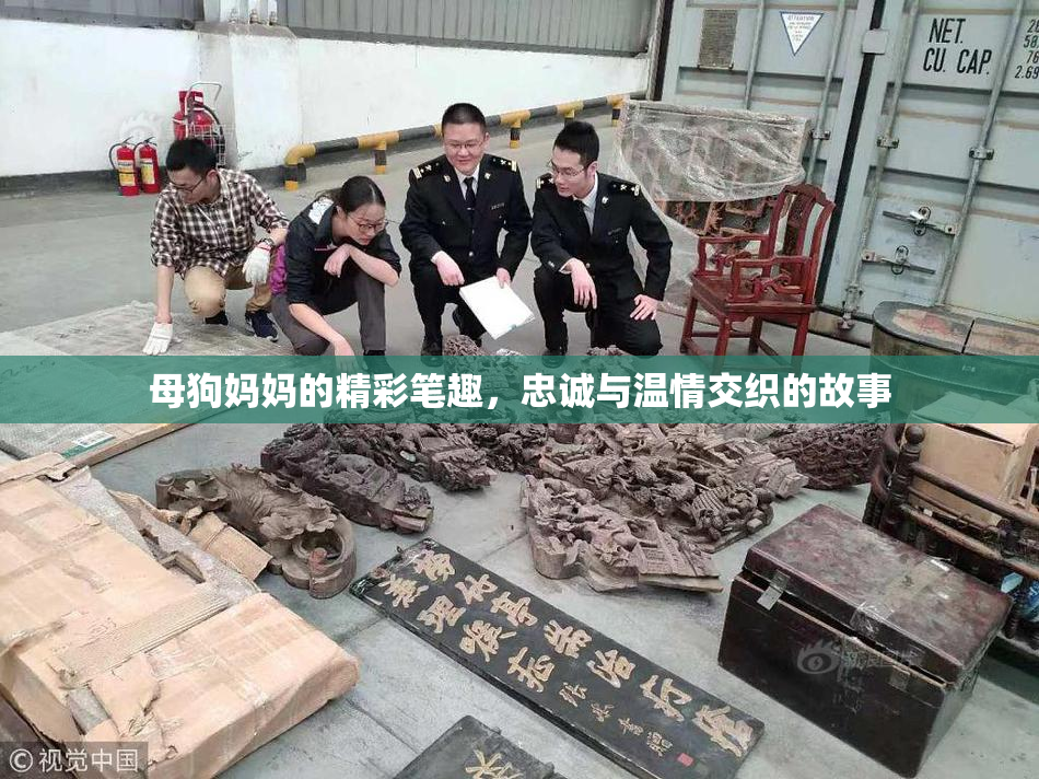 母狗妈妈的精彩笔趣，忠诚与温情交织的故事