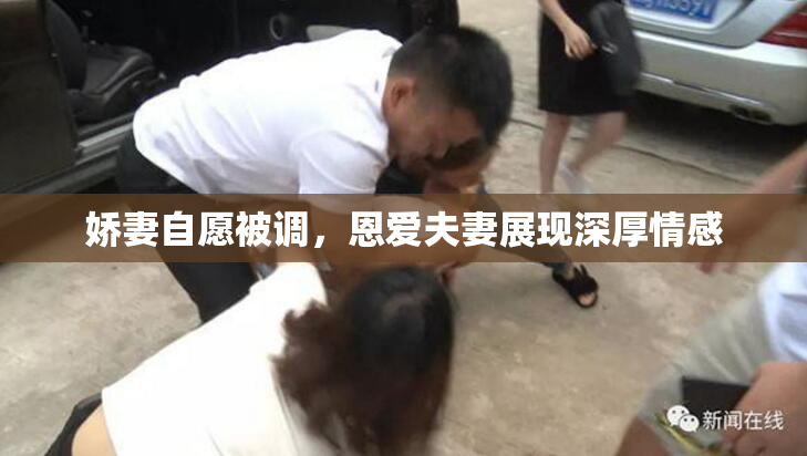 娇妻自愿被调，恩爱夫妻展现深厚情感