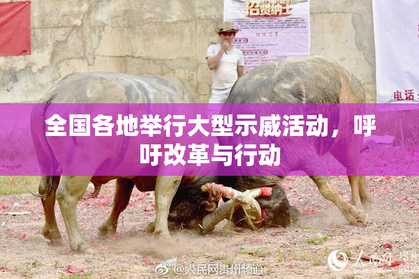 全国各地举行大型示威活动，呼吁改革与行动