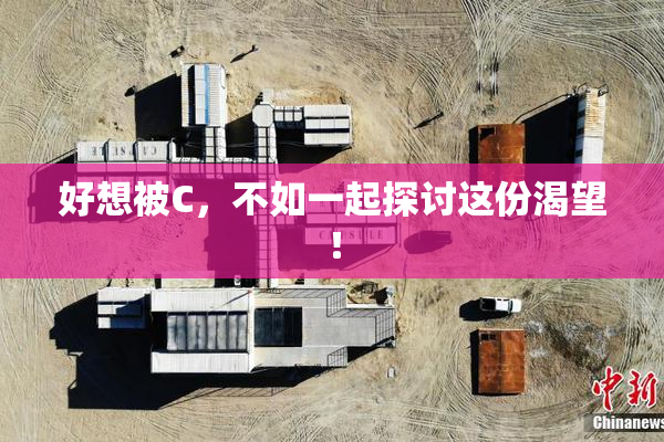好想被C，不如一起探讨这份渴望！