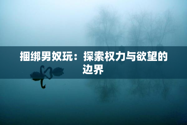 捆绑男奴玩：探索权力与欲望的边界