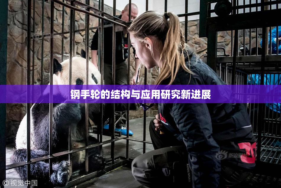 钢手轮的结构与应用研究新进展