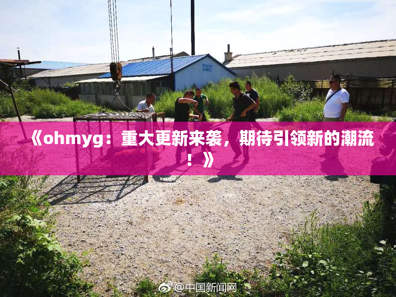 《ohmyg：重大更新来袭，期待引领新的潮流！》
