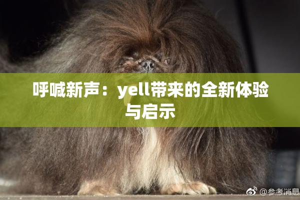 呼喊新声：yell带来的全新体验与启示