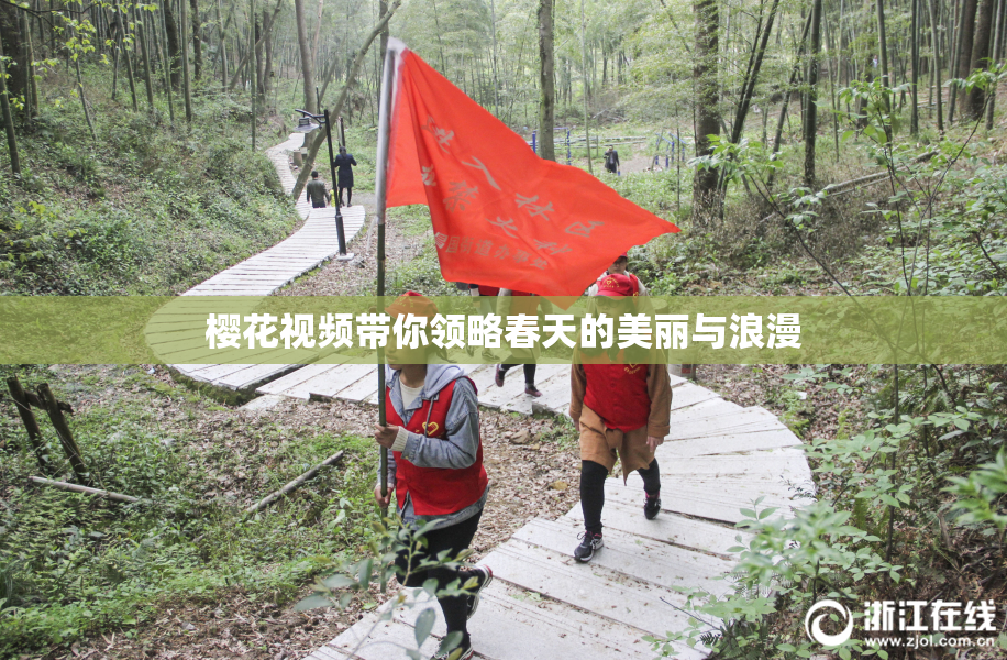 樱花视频带你领略春天的美丽与浪漫
