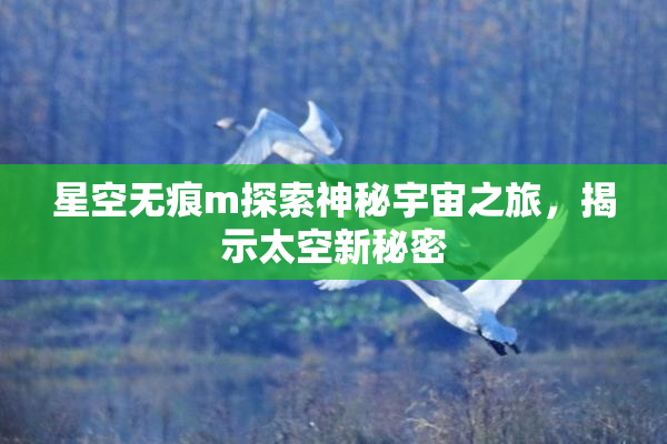 星空无痕m探索神秘宇宙之旅，揭示太空新秘密