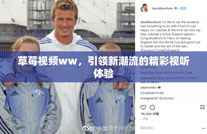 草莓视频ww，引领新潮流的精彩视听体验