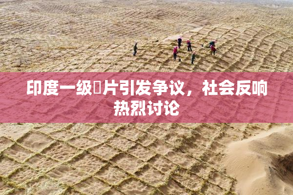 印度一级婬片引发争议，社会反响热烈讨论