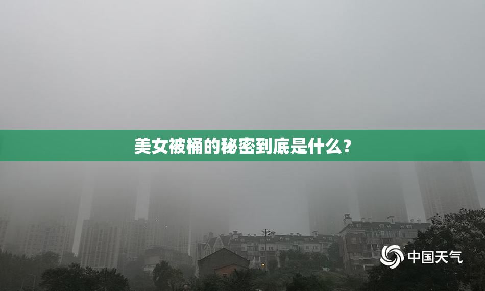 美女被桶的秘密到底是什么？