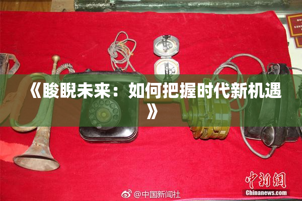 《睃睨未来：如何把握时代新机遇》